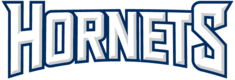 Metcalfe Hornets Ringette